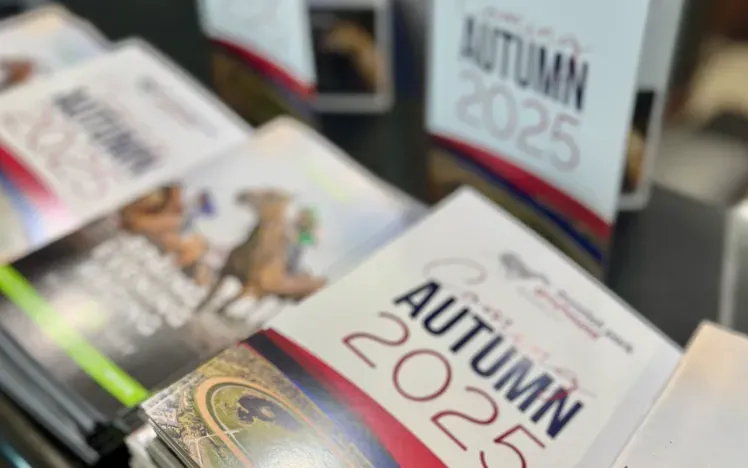 dp brochure update